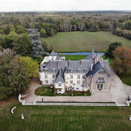 Chateau De La Faye Menetreol-sur-Sauldre Exterior photo
